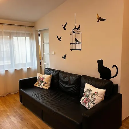 Golden With Lift - Old Town